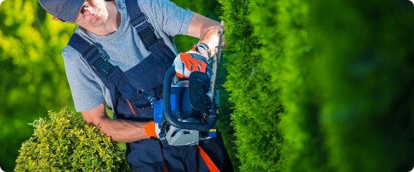 Extérieur Prestation de jardinage