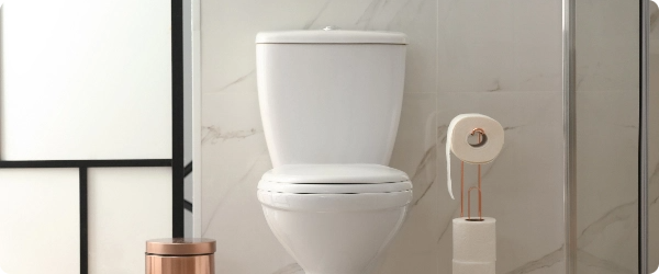 Salle de bain WC, broyeur et accessoires